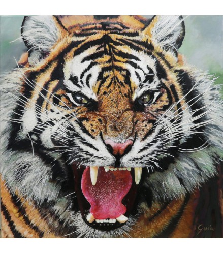Le Regard du Tigre